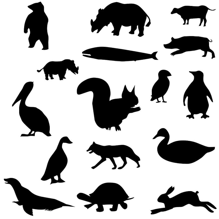 dyr, silhuet, tegning, ko, næsehorn, svin, hval, bære, vild, and, pelikan