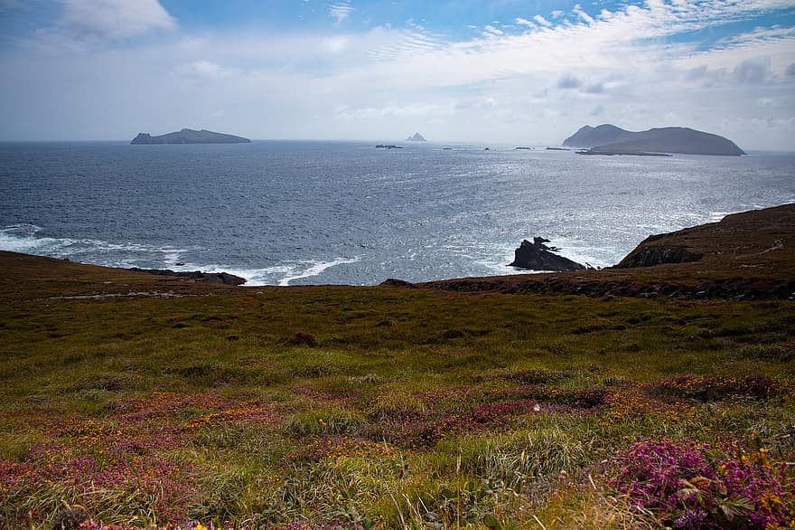 Kepulauan Blasket, padang rumput, laut, samudra, cara Atlantik liar, Kerry, pemandangan, garis pantai, pulau
