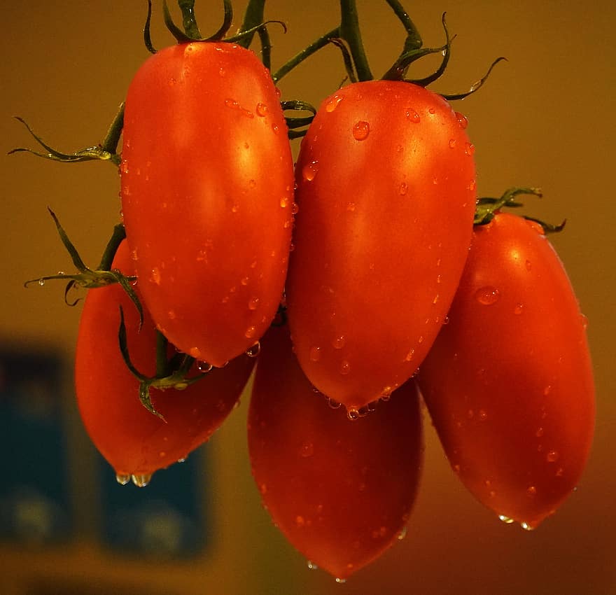 cà chua, đỏ, trái cây, món ăn, người Rumani, sinh học, dinh dưỡng, hữu cơ, thô, Sức khỏe, chín muồi