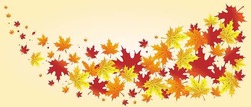 listy, javorové listy, prapor, podzim, textura, šablona