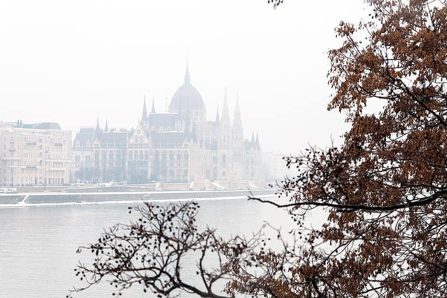 arbre, Voyage, Budapest, Hongrie, Danube, parlement, bâtiment, rivière, endroit célèbre, paysage urbain, architecture