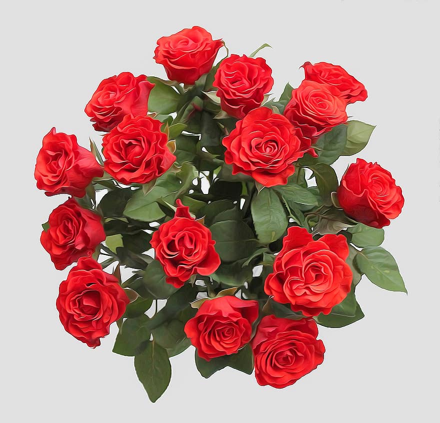 roser, rød, blomster, buket, blomst, romantik, smuk, rød rose