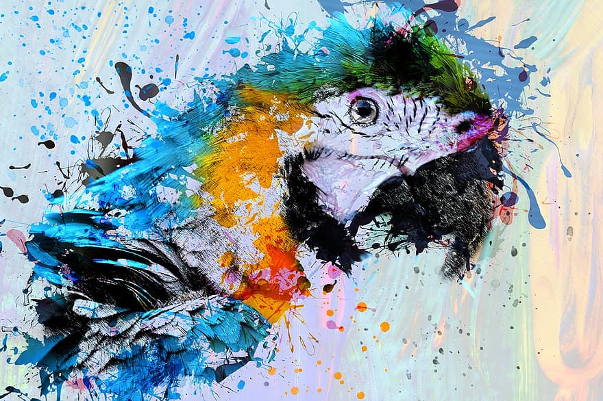 vogel, papegaai, dier, kunst, abstract, waterverf, wijnoogst, natuur, t-shirt, artistiek, ontwerp