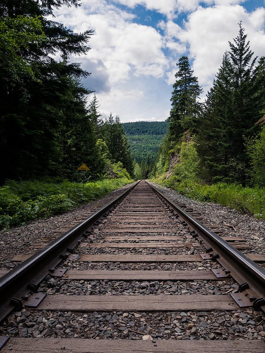 spoorweg, Trein rails, sporen, spoorwegsysteem, bomen, Bos, landschap, natuur, locomotief
