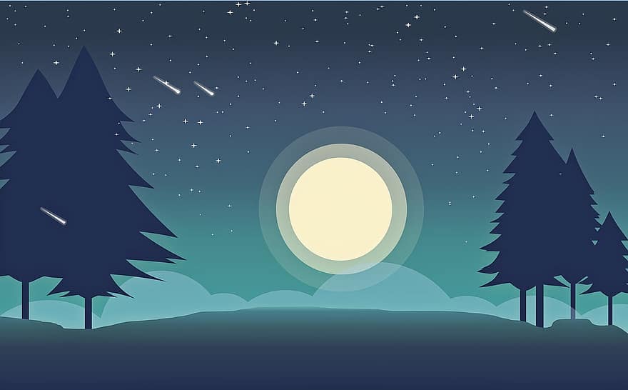 Moon, Forest, Trees, Leaves, Foliage, Night, Sky, Nature