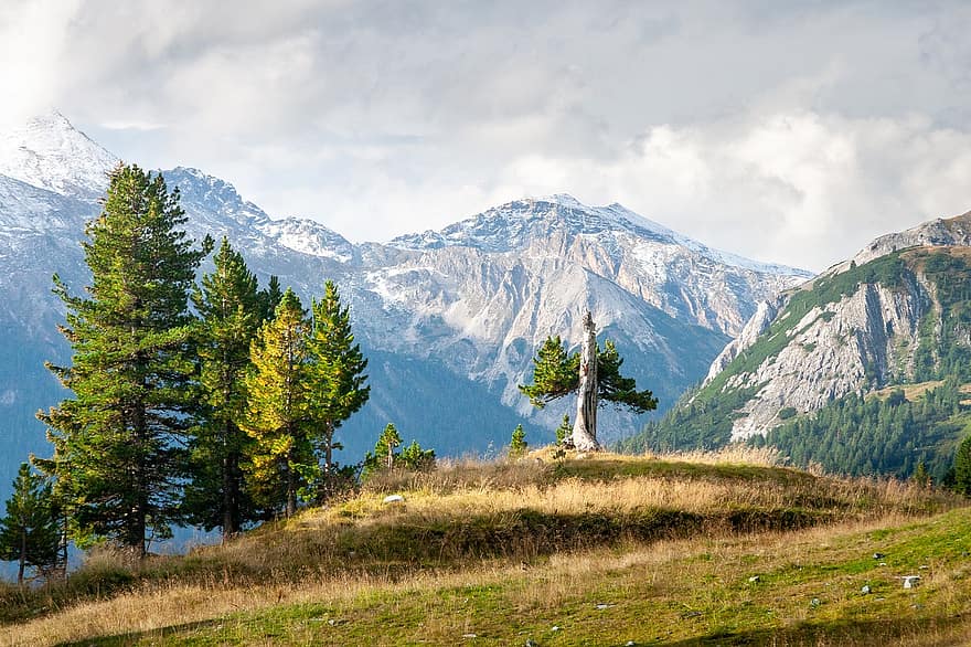 Rakousko, obertauern, hory, Příroda, Alpy, hora, krajina, tráva, louka, les, venkovské scény