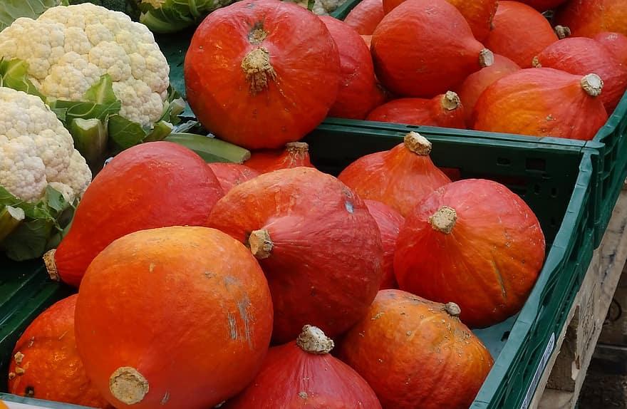 Gemüse, Kürbisse, Herbst, saisonal, fallen, Hokkaido