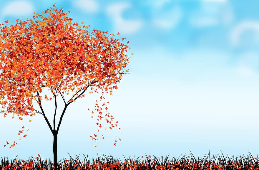 koks, dekoratīvs, fona, rudenī, lapas