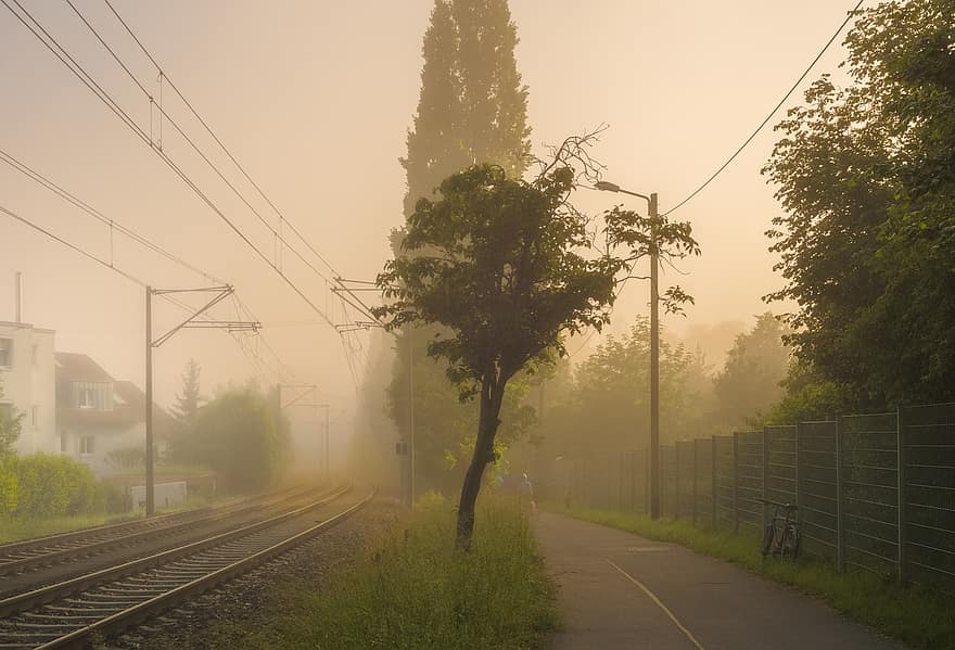 дърво, мъгла, сутрешна мъгла, релси, електропроводи, природа, светлина, зловещ, страх, приказки, тайна