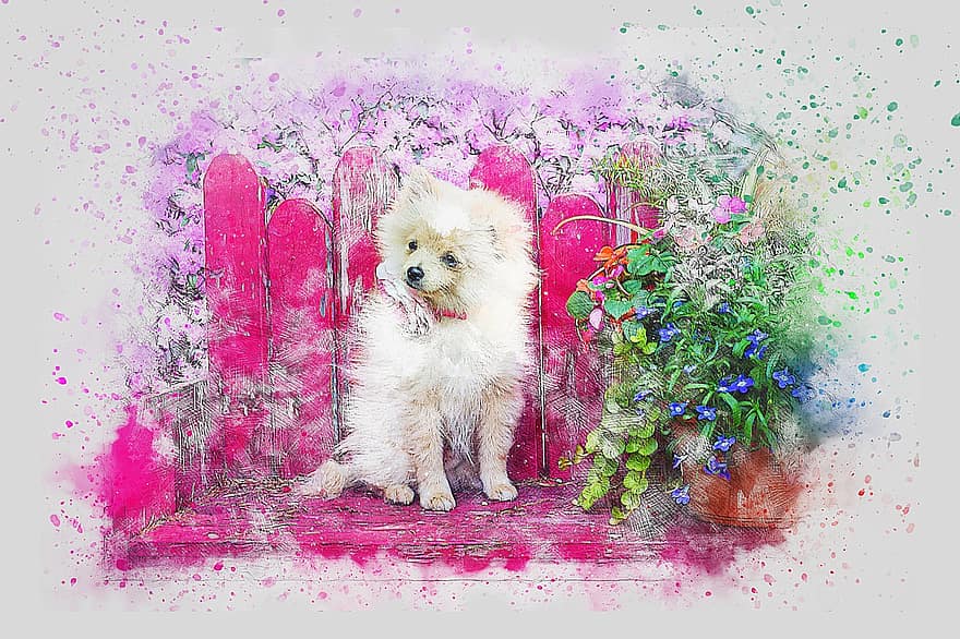 Dog, Pet, Art, Abstract, Watercolor, Vintage, Colorful, Animal, Puppy, Artistic, Design