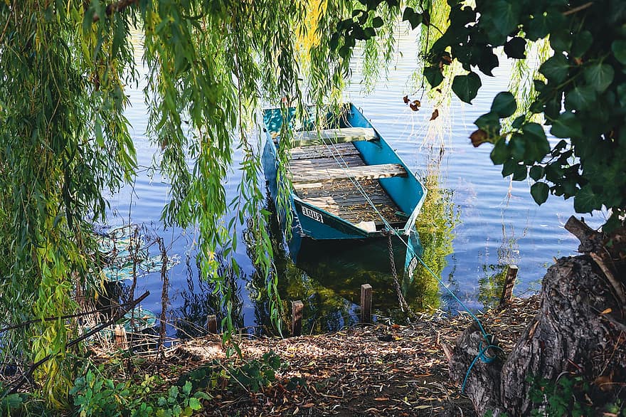 bote, río, naturaleza, arboles, bosque, amarrado, agua, banco, otoño