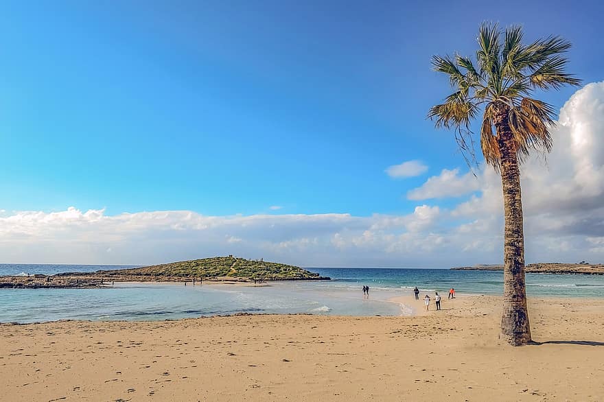 plaża, piasek, Palma, drzewo, morze, wyspa, raj, Cypr, ayia napa, nissi beach, Natura