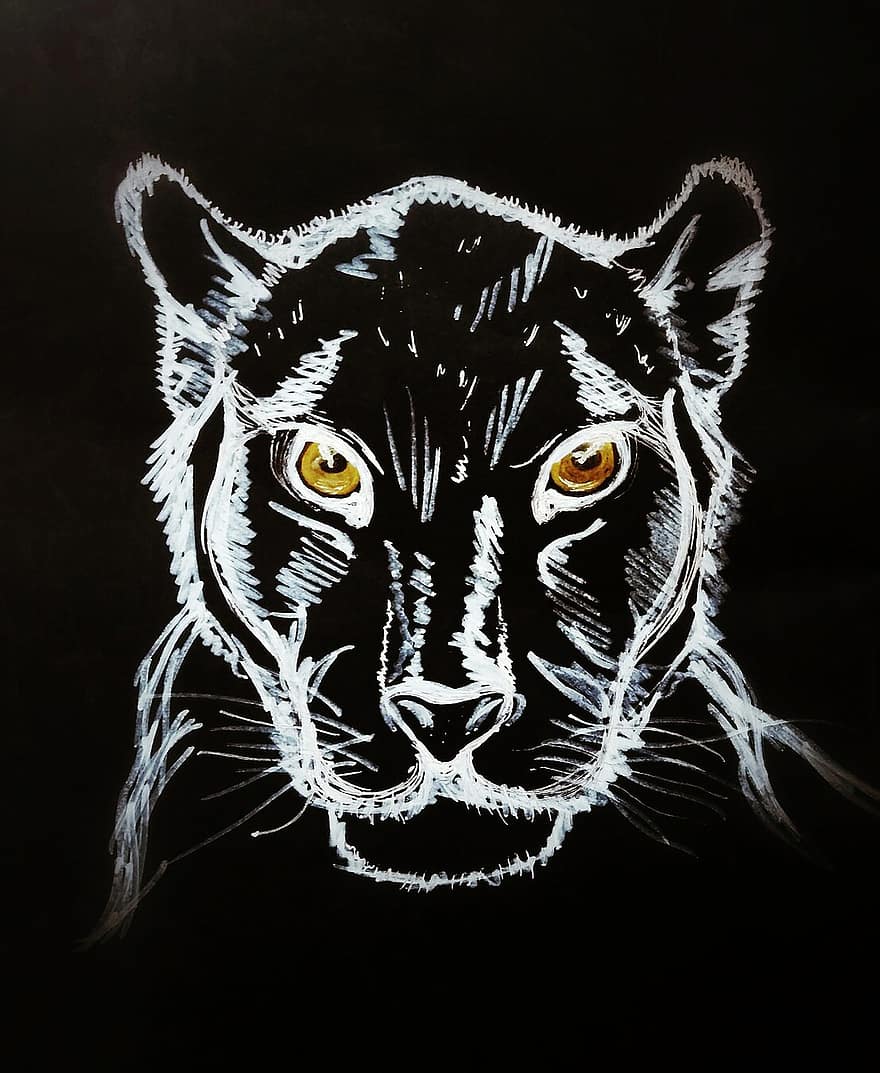 Černý panter, postava, černé pozadí, skica, zvířat, panter, leopard, dravec, kočka, zvíře, zoo