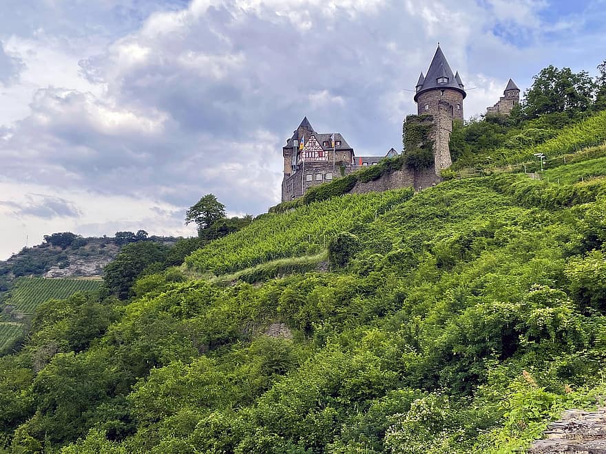 Castell de Stahleck, castell, fortalesa, edifici, arquitectura, medieval, edat mitjana, pendent, plantes, arbustos, fullatge