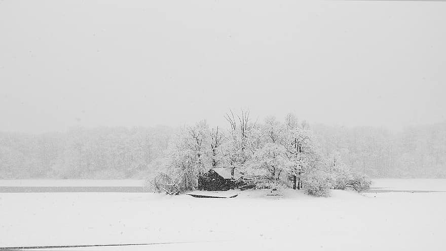 Cottage, Winter, Snow, Lake, Pond, Czech Republic, tree, landscape, frost, forest, season