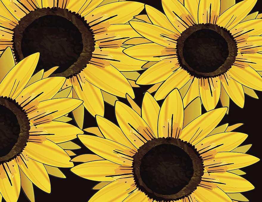 bunga matahari, ilustrasi, kuning, seni, Desain, musim panas, lukisan, Latar Belakang, artistik