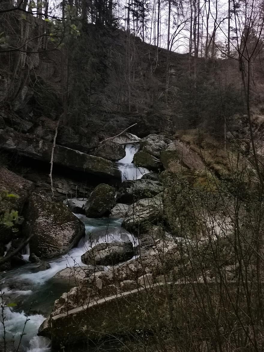 natur, flod, Schweiz, klippe, Skov