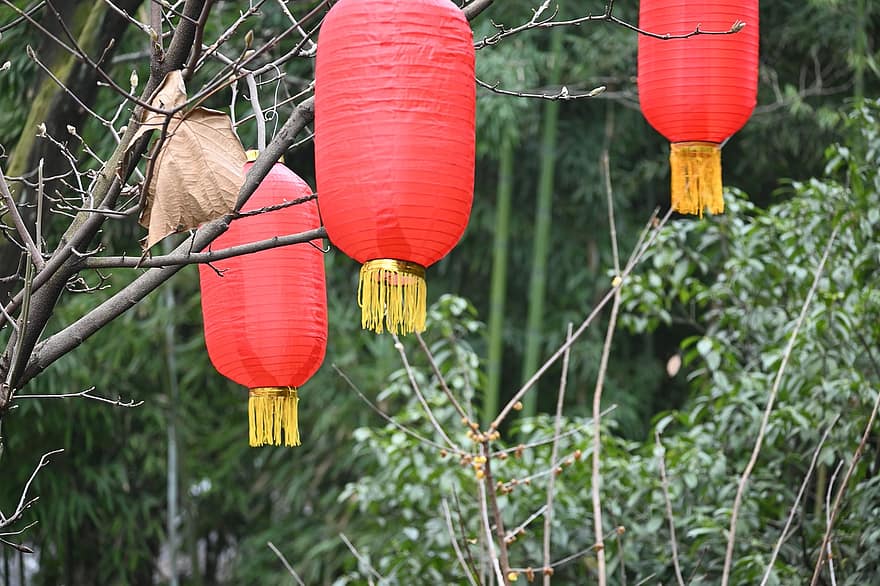 fesztivál, lámpa, dekoráció, hagyományos, kultúrák, ünneplés, kínai kultúra, kínai lámpa, hagyományos fesztivál, függő, őshonos kultúra