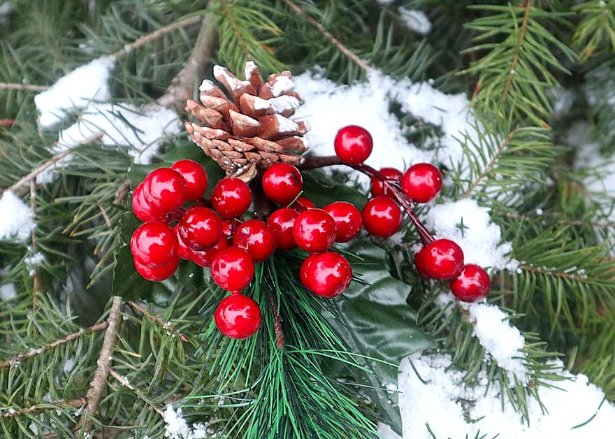 joulu, joulukuusi, ornamentti, punainen, marja, loma-, talvi-, koriste, puu, kausi, haara
