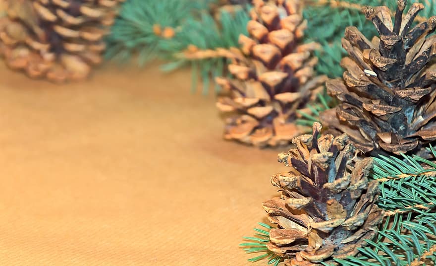 Background, Cones, Christmas, Twig, Spruce, Decoration