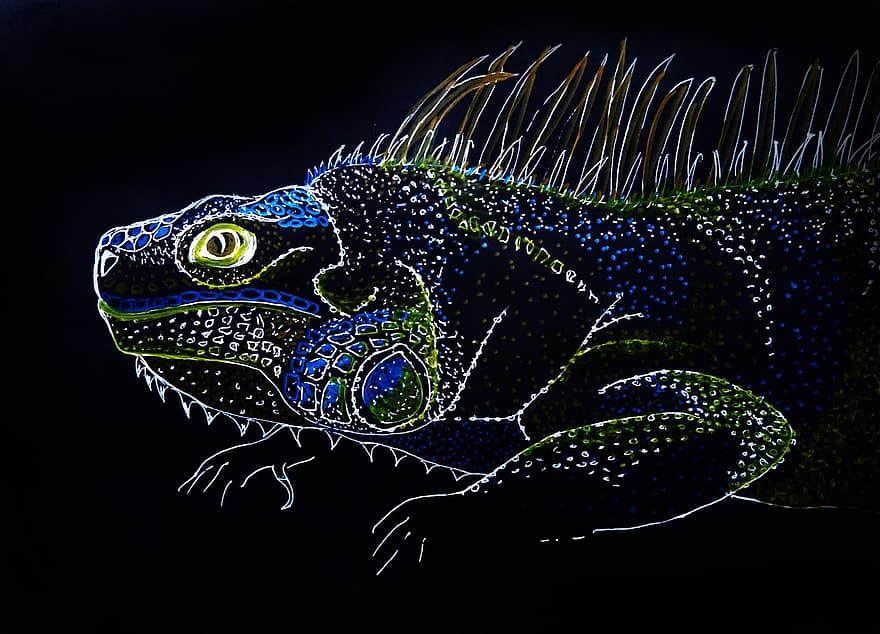 iguana, llangardaix, jungla, La imatge Els tròpics, fons negre, art, rèptil, drac, criatura, exòtic, cresta