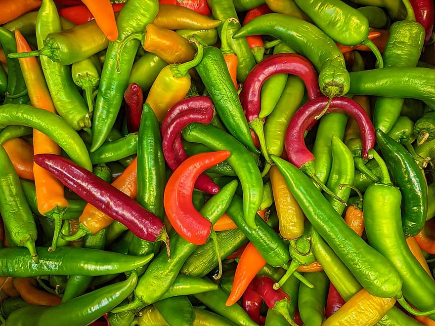 chiles, pebrots, verdures, produir, pebrots vermells, pebrots verds, picant, collita, menjar, orgànic