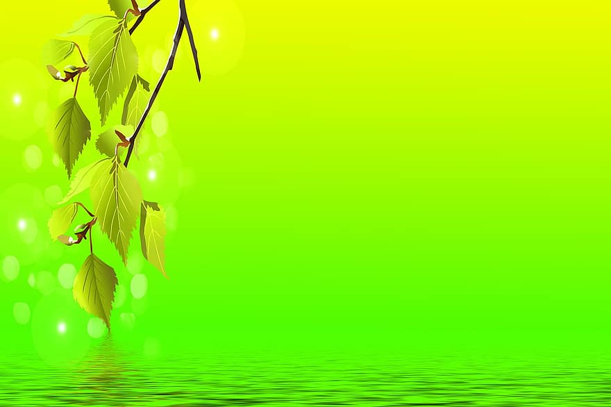 Leaves, Branches, Flowers, Reflection, Water, Design, Yellow, Background, Green, Spring, Fresh