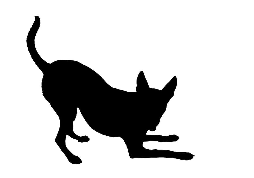 犬、弓、後背位、犬の蝶ネクタイ、遊ぶ、遊び心のある、活動的、黒、シルエット、動物、ペット