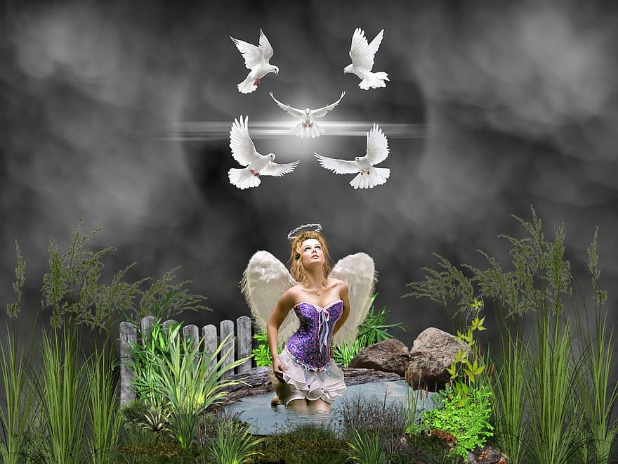 Pozadí, mraky, rybník, anděl, holubice, fantazie, ženský, charakter, digitální umění