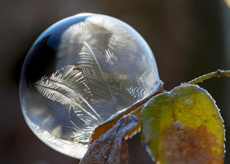 мыльный пузырь, замороженный, прозрачный, морозный