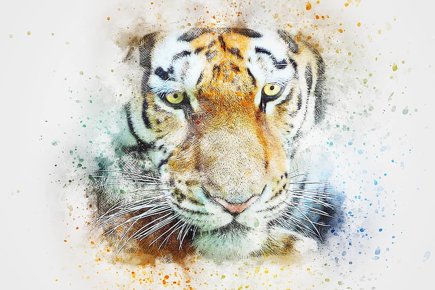 tigris, állat, Művészet, absztrakt, vízfestmény, szüret, macska, természet, színes, póló, művészeti