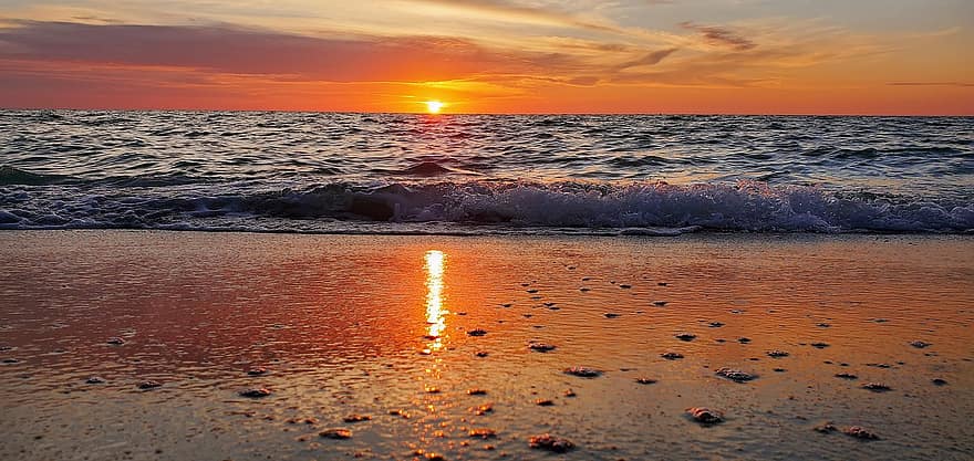 solnedgang, Strand, kyst, florida, reise, natur, skumring, shore, hav, sommer, sol