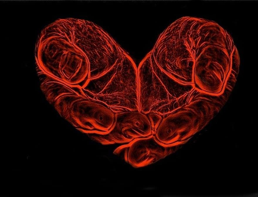 Herz, Hände, Romantik, rot, Valentinstag