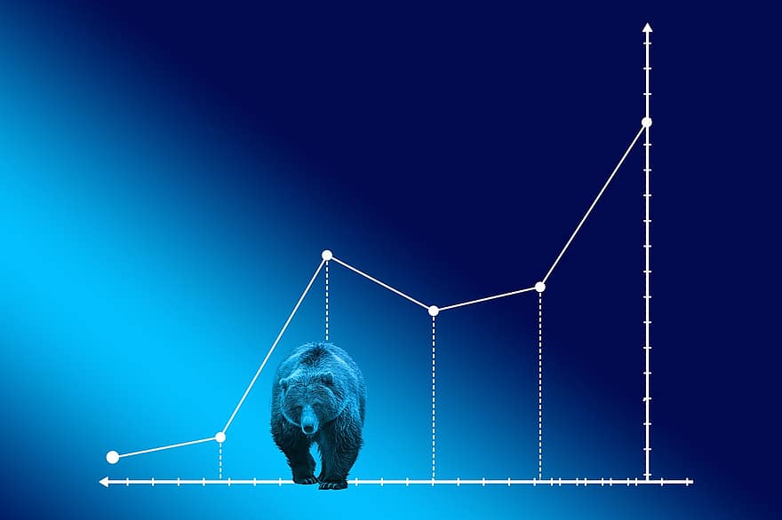 medvědí trh, kurzů, burza, medvěd, finanční trh, investory, Tržní fáze, finance, ekonomika, podnikání, výtěžek