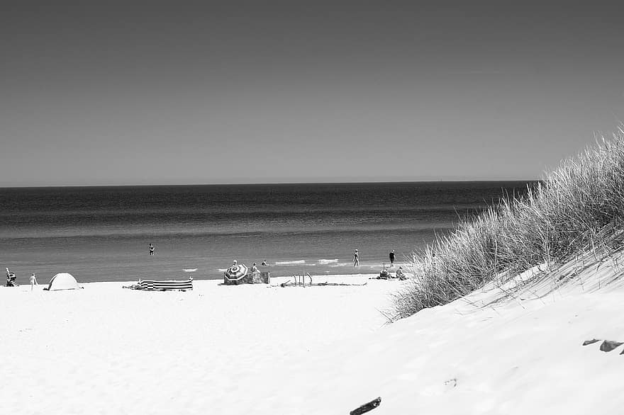 mare, spiaggia, estate, dune di sabbia, paesaggio