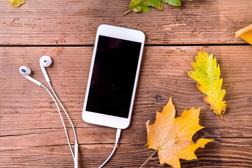cellulare, cuffie, autunno, le foglie, smartphone, Telefono, i phone, schermo, cuffia, dispositivo digitale, tecnologia