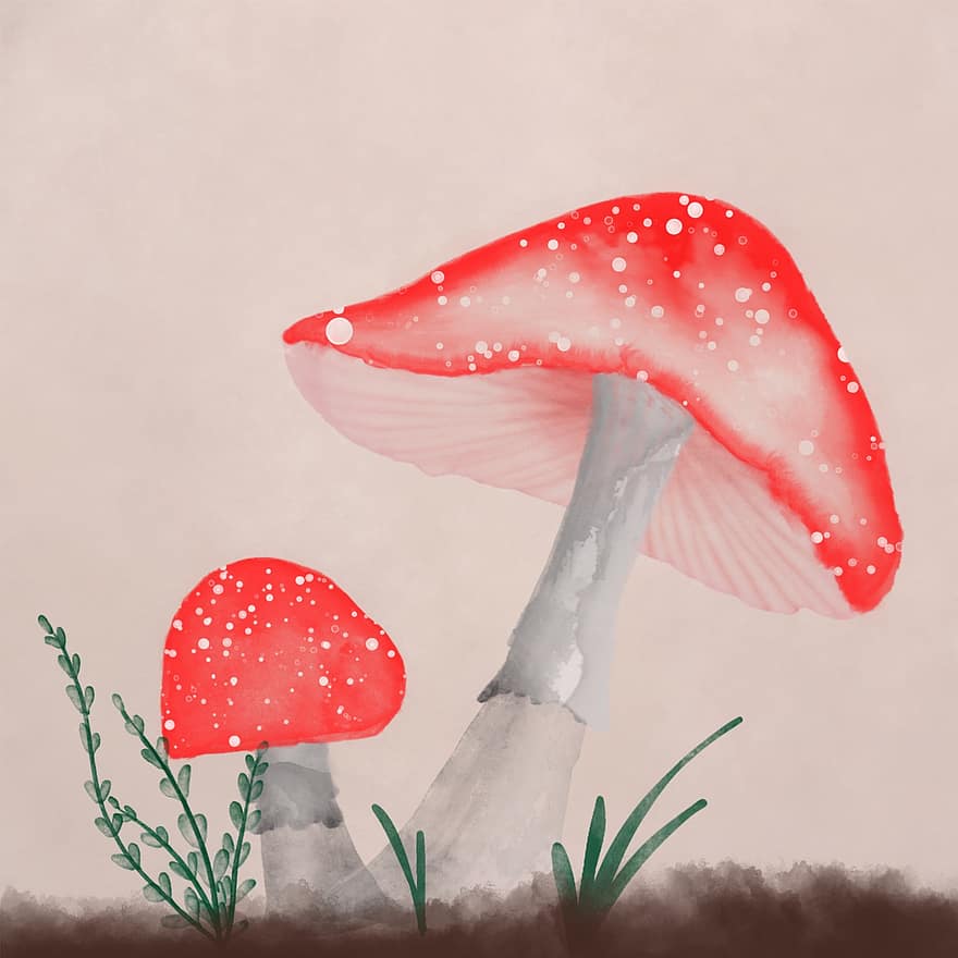 ilustração, cogumelo, vermelho, aguarela, ilustrador