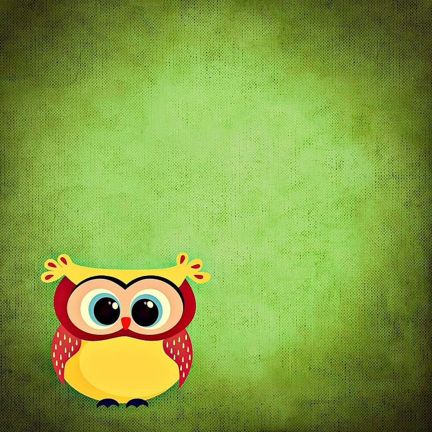 Owl, Colorful, Funny
