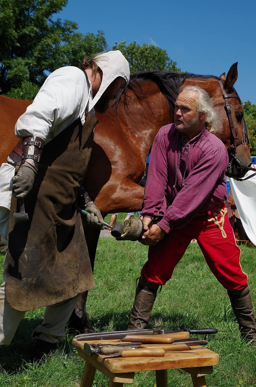 Horse Grooming, Horse, Medieval Reenactment, Stablemen, Ranch