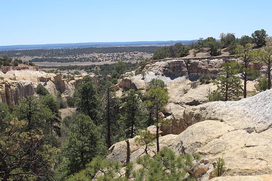 monument national el morro, Nouveau Mexique, roches, grès, paysage, la nature, des arbres, formations de pierre, parc national, été