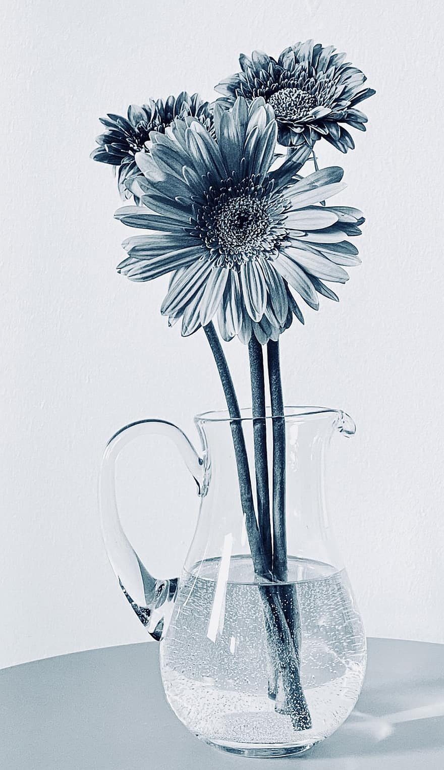 Gerbera, Transvaal Gänseblümchen, Blumen, Blumenvase, Vase, Hintergrund, Strauß, Dekor, Blume, Nahansicht, Blau
