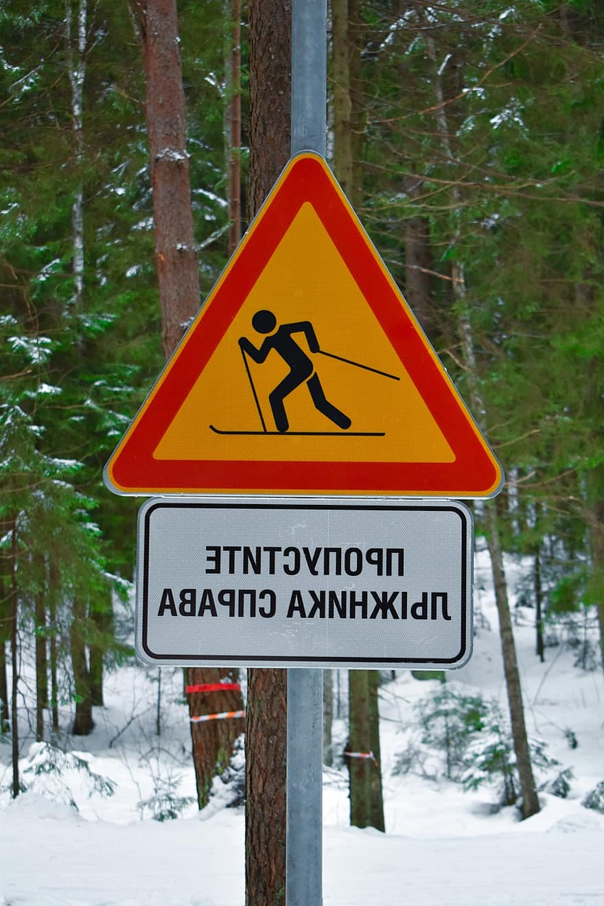 orman, kayak Merkezi, kış, işaret, sokak tabelası, tabelasını imzala, doğa, kar, peyzaj, Uyarı işareti, ağaç