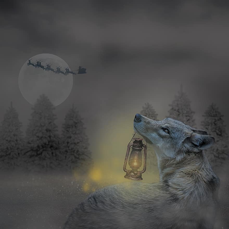 Wolf, Weihnachtsmann, Schlitten, Mond, Weihnachten, Weihnachtskarte, digitaler Hintergrund, Licht, Vollmond, Schnee, Fantasie