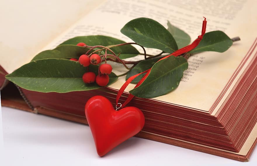 cœur, vieux livre, amour, vieil amour, pages de livre, Livre ouvert, lis, fête des mères, Valentin, amoureux, livre