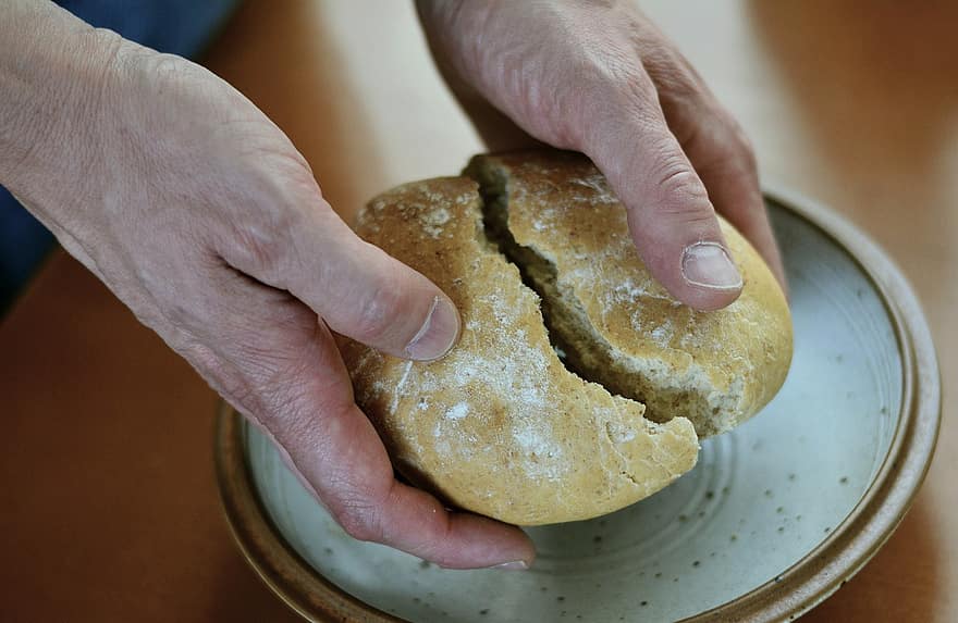 pâine, copt, alimente, proaspăt coaptă, mână, de casă, hidrati de carbon, crustă