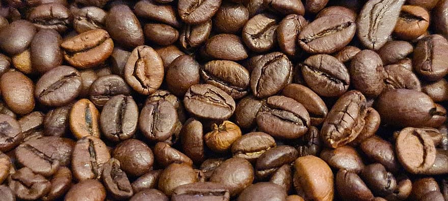 káva, Kávová zrna, kofein, espresso