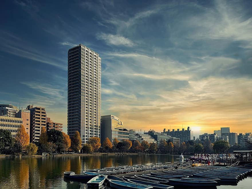 Estany de Shinobazu, ueno park, tokyo, Japó, ciutat de taito, embarcacions, aigua, posta de sol, cel, edifici d'apartaments, parc
