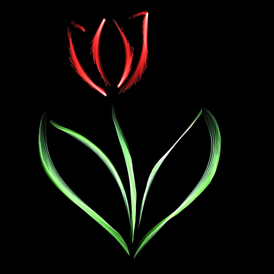 tulipán, piros, fényes, tavaszi