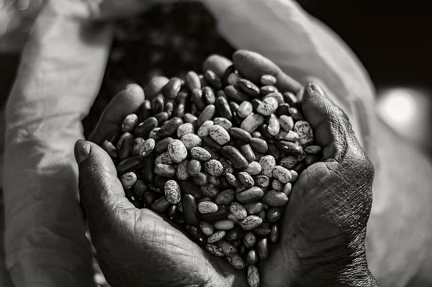 Grains, Black And White, Old, Food, Texture, Natural, Brown, Grey