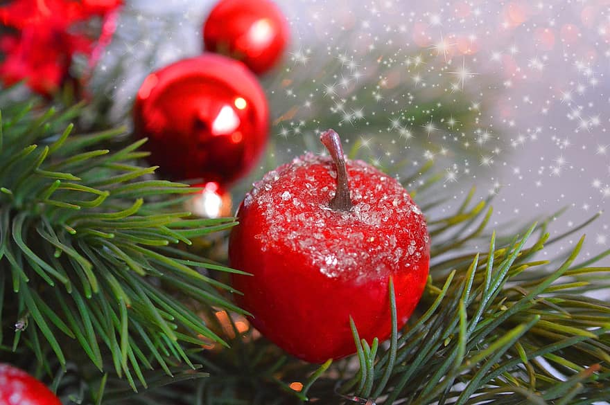 クリスマスツリー、赤いリンゴ、霜、飾り物、クリスマス、モミの木、ブランチ、デコレーション、装飾、輝く